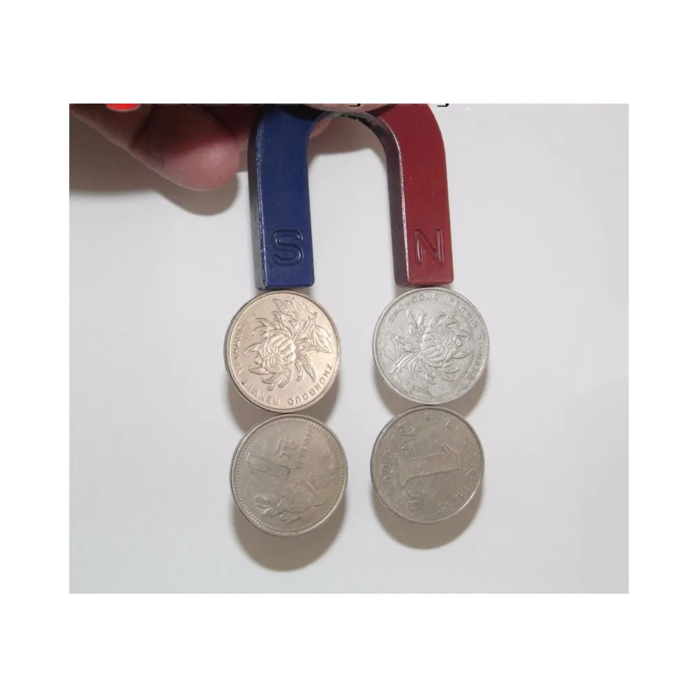 2 X MAGNETE DIDATTICO CALAMITA 30MM A FORMA DI U POSITIVO E NEGATIVO NORD SUD