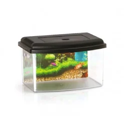 ACQUARIO RETTANGOLARE IN PLASTICA RIGIDA 3 LITRI CON COPERCHIO 22 X 16 X 14 CM