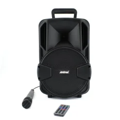 ALTOPARLANTE BLUETOOTH WIRELESS 2000W ILLUMINAZIONE LED KARAOKE MICROFONO Q-T38