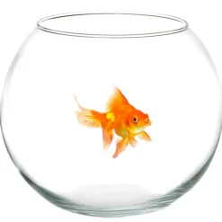 AMPOLLA BOCCIA PER PESCI IN VETRO 25 CM ACQUARIO PESCE ROSSO CENTRO TAVOLA CASA