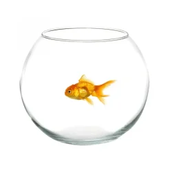 AMPOLLA BOCCIA PER PESCI IN VETRO 25 CM ACQUARIO PESCE ROSSO CENTRO TAVOLA CASA