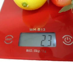 BILANCIA DIGITALE LCD PIATTO RIPIANO IN VETRO DA CUCINA 5KG DA1GR A 5KG TOUCH