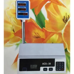 BILANCIA PESA MAX 30 KG DIGITALE ELETTRONICA PROFESSIONALE GRAMMI CHILO CHILI