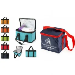 BORSA TERMICA CON MANICI 18 LITRI FRIGO 35X16X32 CM MARE SPIAGGIA CAMPEGGIO