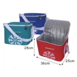 BORSA TERMICA FRIGO 25LT 36 X 25 X 28CM PORTA ALIMENTI PRANZO SPIAGGIA MARE 12836