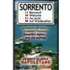 CARTE DA GIOCO NAPOLETANE SORRENTO VEDUTE PROVERBI GIOCO DI CARTE PATINATE