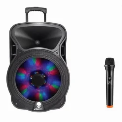 CASSA ACUSTICA PORTATILE 1000 W BLUETOOTH TROLLEY CON MICROFONO EVENTI ALIEN-15