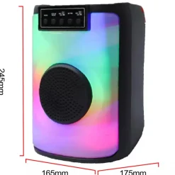 CASSA ALTOPARLANTE SPEAKER CON MICROFONO PER KARAOKE GIOCHI LUCE LED USB AUX 4.0