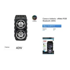 CASSA BLUETOOTH A BATTERIA ALTOPARLANTE SPEAKER 40 WATT PORTATILE RGB CA-BT011