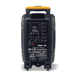 CASSA PORTATILE A TROLLEY 600 W BLUETOOTH USB RGB CON MICROFONO WIRELESS VAN-M