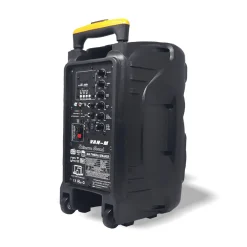 CASSA PORTATILE A TROLLEY 600 W BLUETOOTH USB RGB CON MICROFONO WIRELESS VAN-M