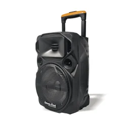 CASSA PORTATILE A TROLLEY 600 W BLUETOOTH USB RGB CON MICROFONO WIRELESS VAN-M