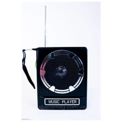 CASSA SPEACKER PORTATILE CON RADIO FM PORTA USB LETTORE SCHEDA SD USCITA AUX MP3