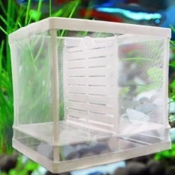 CASSETTA PER ACQUARIO ALLEVAMENTO SEPARA PESCI PROTEGGI UOVA INCUBATRICE PICCOLA