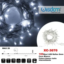 CATENA LUMINOSA 100 LUCI LED LUCCIOLE COLORE BIANCO TUTTO INTERMITTENTE XC-3070