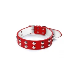 COLLARE CON BORCHIE TONDE PER CANI TAGLIA GRANDE CHIUSURA CON FIBBIA REGOLABILE