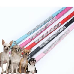 COLLARE CON STRASS PER CANI CANE GATTI ANIMALI PET BRILLANTINI COLORI ASSORTITI