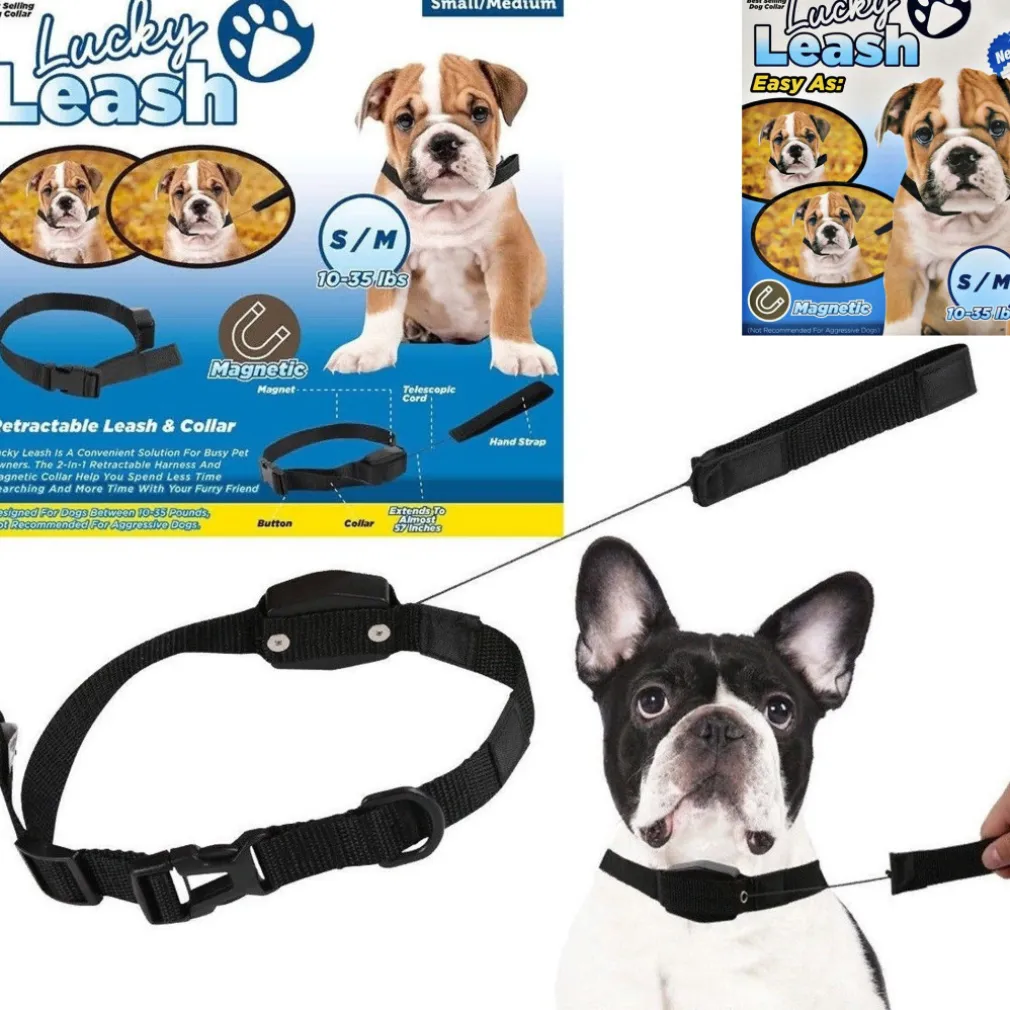 COLLARE GUINZAGLIO RETRAIBILE 2 IN 1 PER CANE CANI TAGLIA S/M CON MAGNETE