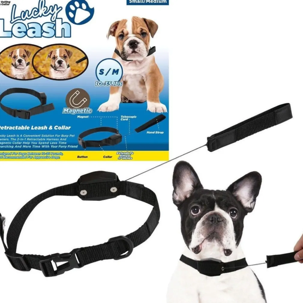 COLLARE GUINZAGLIO RETRAIBILE 2 IN 1 PER CANE CANI TAGLIA S/M CON MAGNETE