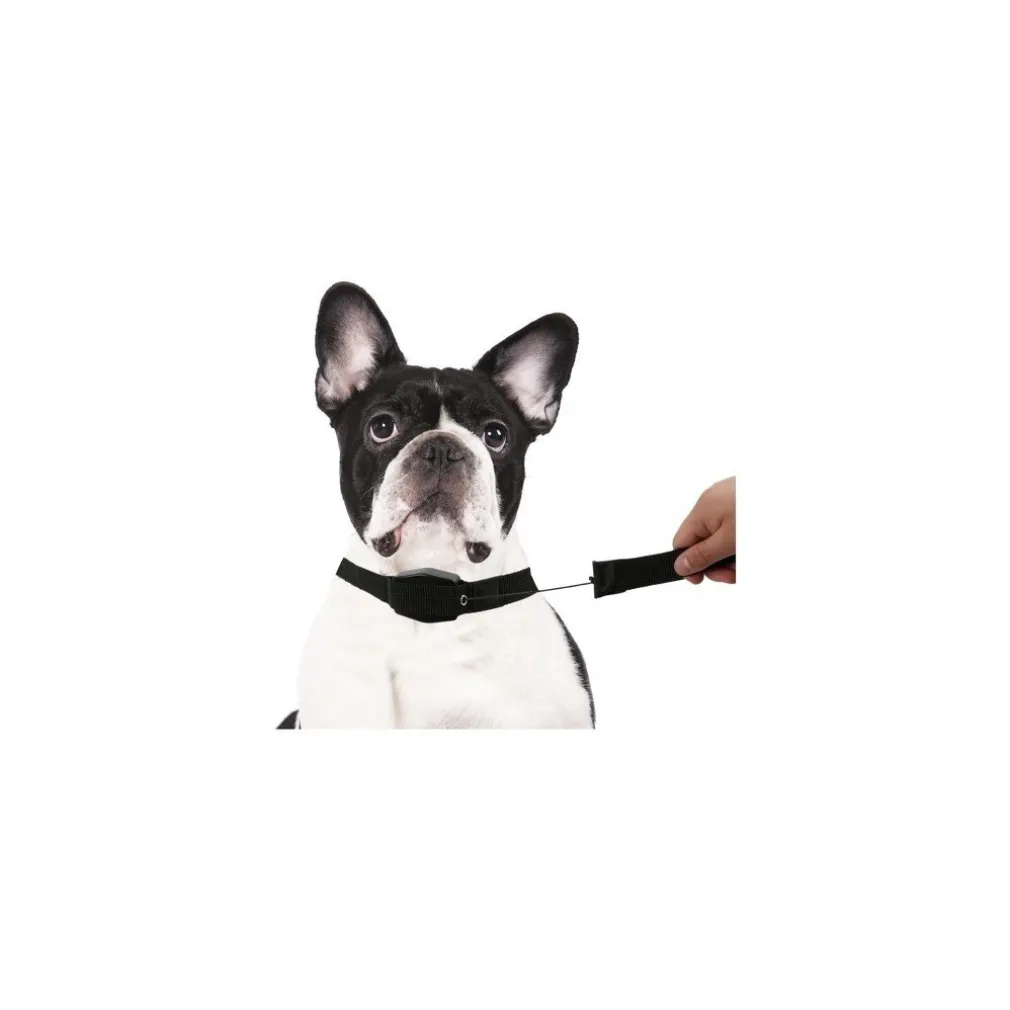 COLLARE GUINZAGLIO RETRAIBILE 2 IN 1 PER CANE CANI TAGLIA S/M CON MAGNETE