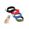 COLLARE IN NYLON CON IMBOTTITURA PER CANI TG. GRANDE CHIUSURA FIBBIA REGOLABILE
