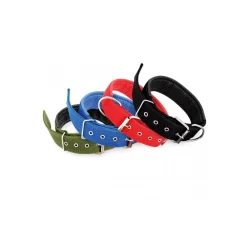 COLLARE IN NYLON CON IMBOTTITURA PER CANI TG. GRANDE CHIUSURA FIBBIA REGOLABILE