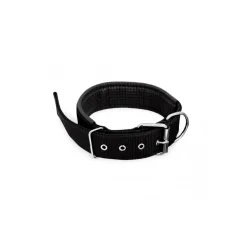 COLLARE IN NYLON CON IMBOTTITURA PER CANI TG. GRANDE CHIUSURA FIBBIA REGOLABILE