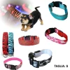 COLLARE PER CANE CANI A LED LUMINOSO SICUREZZA LED NOTTURNO CLIP FANTASIA TG.S