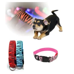 COLLARE PER CANE CANI A LED LUMINOSO SICUREZZA LED NOTTURNO CLIP FANTASIA TG.S