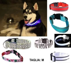 COLLARE PER CANE CANI A LED LUMINOSO SICUREZZA LED NOTTURNO CLIP FANTASIA TG.M