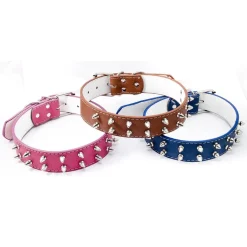 COLLARE PER CANE CANI BORCHIE BORCHIATO A PUNTA TAGLIA MEDIA GRANDE VARI COLORI