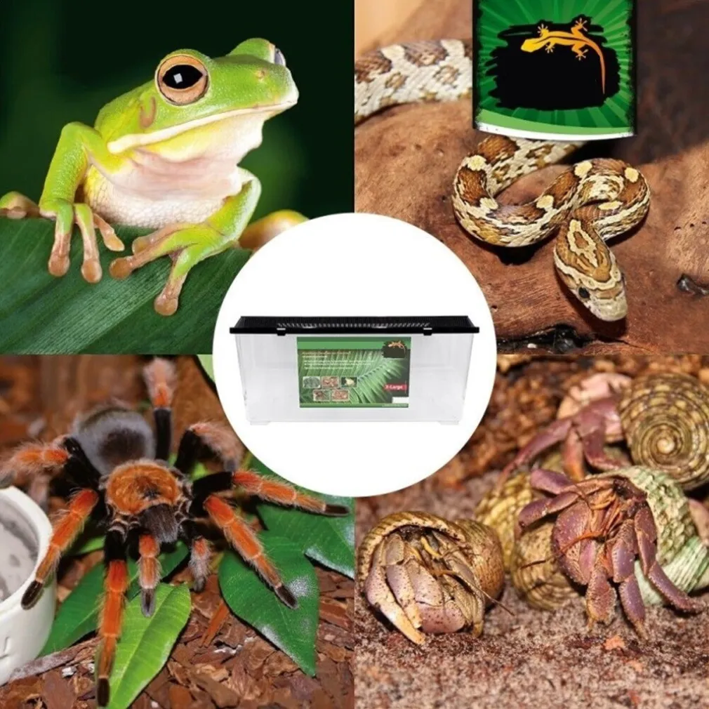 CONTENITORE BOX 21,5X14X14,7CM TERRARIO ACQUARIO PESCI ANIMALI IN PLASTICA COD. 203A