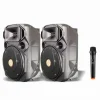 COPPIA CASSE ATTIVA + PASSIVA MICROFONO BLUETOOTH 1300W EXTREME SOUND VAN-M-POWER