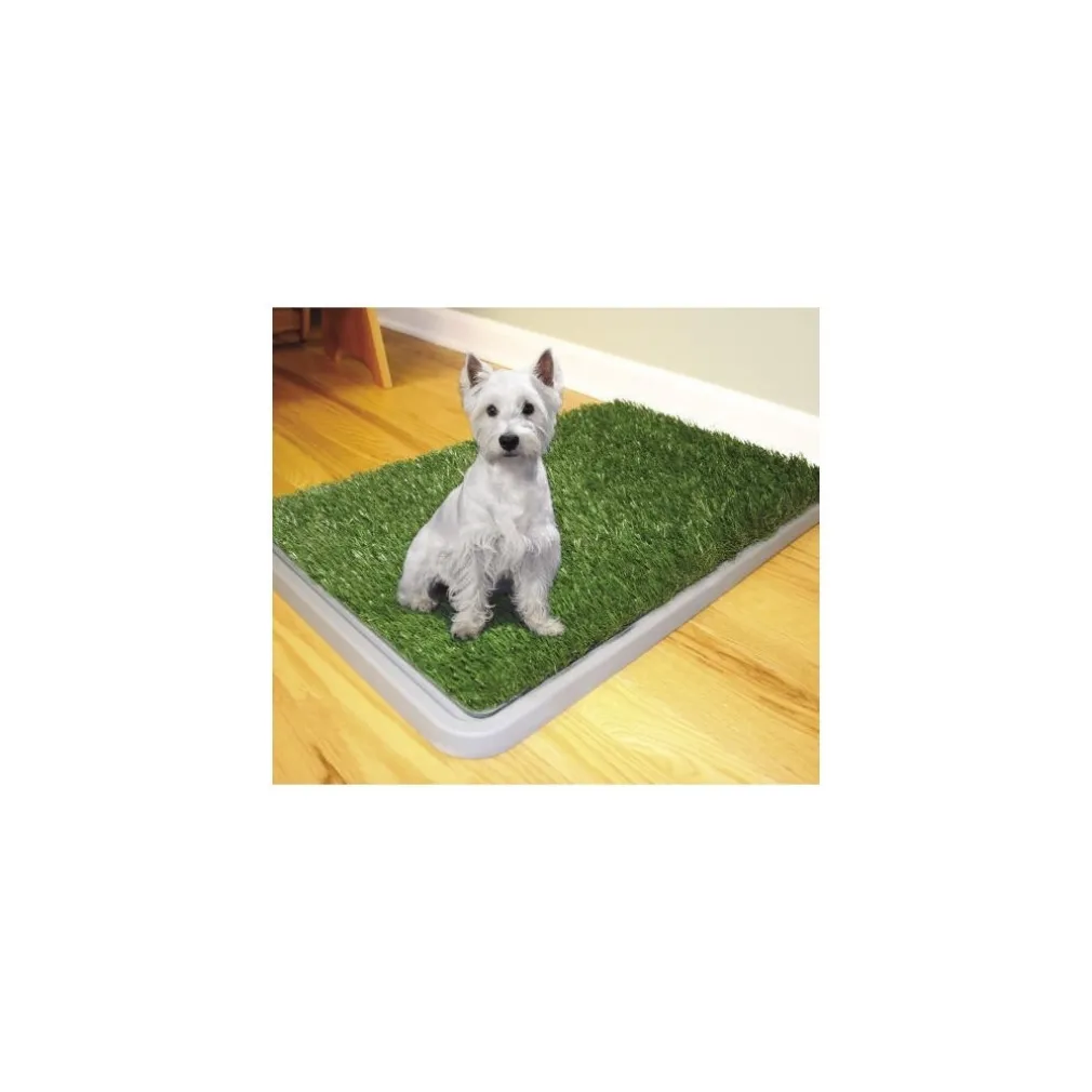 DOG TOILETTE CANI POTTY PATCH LETTIERA WC LAVABILE 3 STRATI BISOGNI ANIMALI 43 x 68 CM