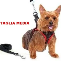 ELEGANTE PETTORINA E GUINZAGLIO REGOLABILE PER CANE COMFY CONTROL TAGLIA MEDIA
