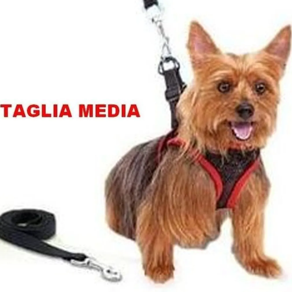 ELEGANTE PETTORINA E GUINZAGLIO REGOLABILE PER CANE COMFY CONTROL TAGLIA MEDIA
