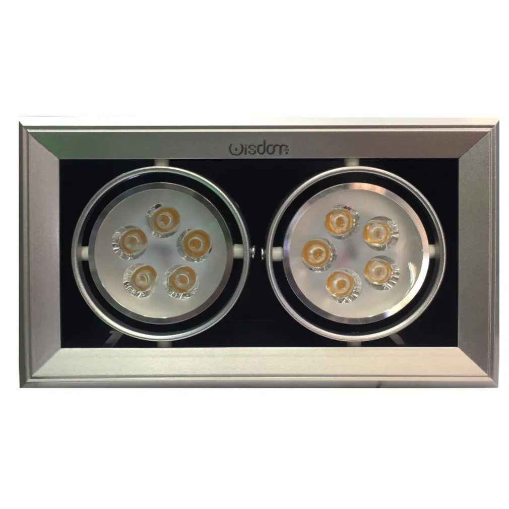 FARETTO LED AD INCASSO WISDOM PER AMBIENTI COMMERCIALI DA 2x5W ORIENTABILI