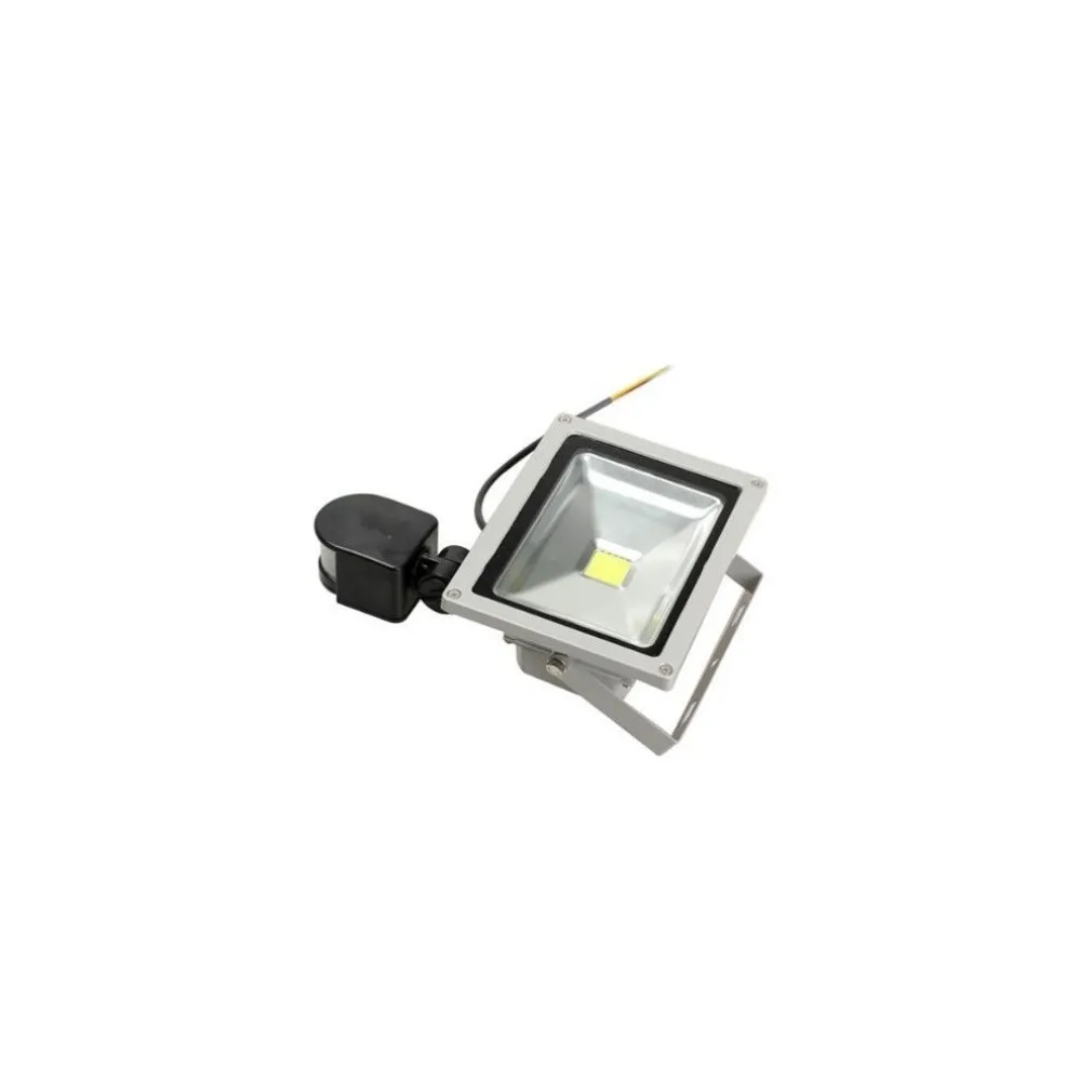 FARO DA 20W CON SENSORE DI MOVIMENTO FARETTO A LED LUCE BIANCA 220V