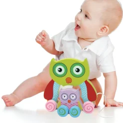 GIOCO GUFETTO LEGNO TRAINABILE GUFO GIOCATTOLO PER BAMBINI DA TIRARE 18CM VERDE