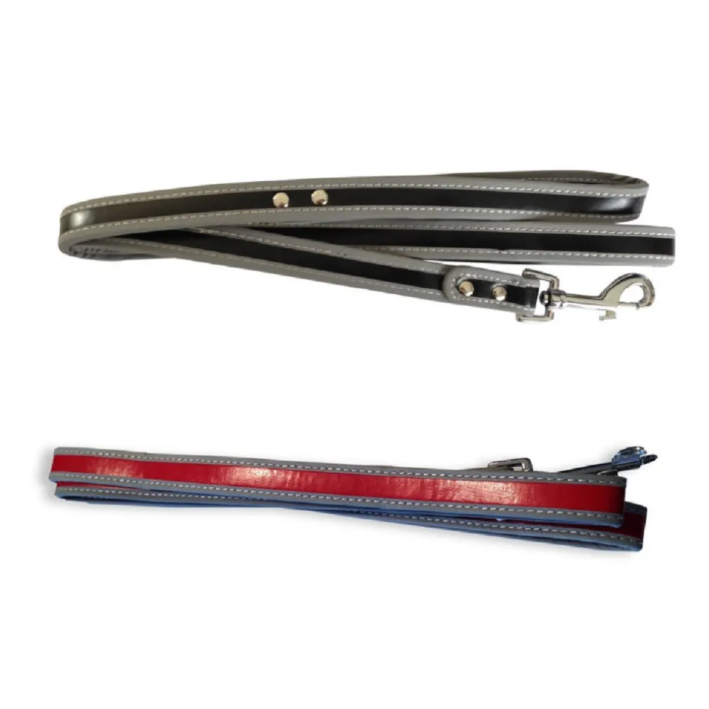 GUINZAGLIO PER CANE LUNGHEZZA 120CM RIFLETTENTE MOSCHETTONE ACCIAIO VARI COLORI