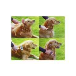 KIT DELLE COCCOLE 3 PZ DI SPAZZOLE PER LA PULIZIA E LA CURA DEL CANE