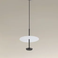 LAMPADARIO A SOSPENSIONE LUCE 6500K LED 12W DISCO PARALUME PIATTO BIANCO NERO TONDO 33122