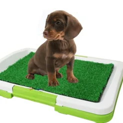 LETTIERA MAXI PER CUCCIOLO CANE ERBA WC PANNO ASSORBENTE POTTY CUCCIOLI CASA