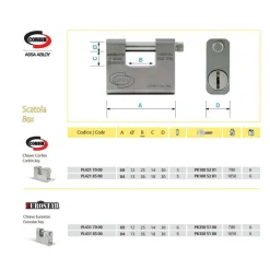 LUCCHETTO GRIZZLY IN ACCIAIO CEMENTATO ANTITRAPANO CON CHIAVE DOM CORBIN