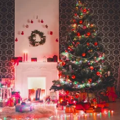 LUCI LED ALBERO DI NATALE USB BLUETOOTH APP INTERNO CON TELECOMANDO 5 MT 50 LED