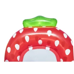 MATERASSO CANOTTO LOUNGE SWEET SUMMER ANANAS 186X112CM / FRAGOLA 178X103CM 43644