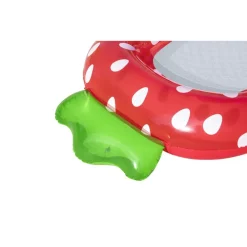 MATERASSO CANOTTO LOUNGE SWEET SUMMER ANANAS 186X112CM / FRAGOLA 178X103CM 43644