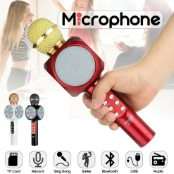 MICROFONO PORTATILE WIRELESS CON BLUETOOTH KARAOKE CASSA INTEGRATA WS-1816
