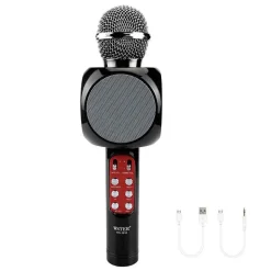 MICROFONO PORTATILE WIRELESS CON BLUETOOTH KARAOKE CASSA INTEGRATA WS-1816