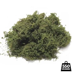 MUSCHIO PER PRESEPE SCATOLA DA 550 GR PER RIVESTIMENTO E DECORAZIONI NATALIZIE